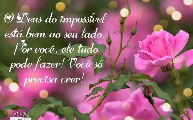 Conhecendo a história do 