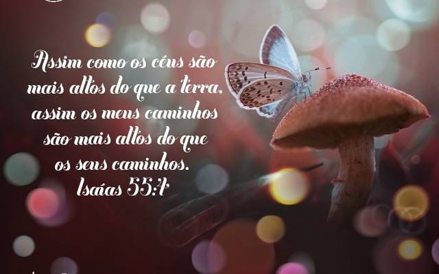  Os caminhos de Deus são mais altos que os seus