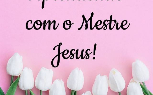 Educação - Aprendendo com ele