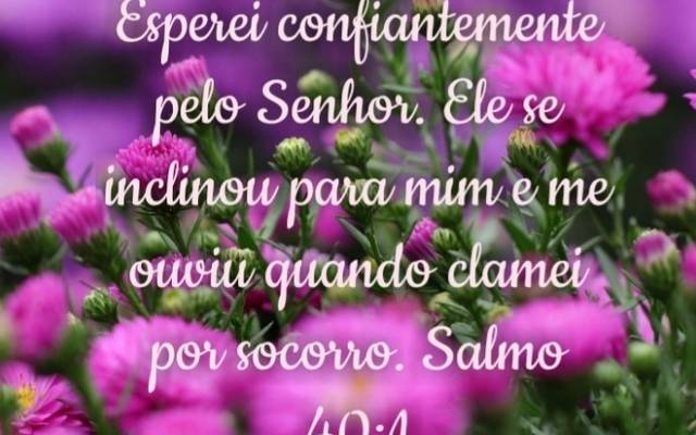 Providência - Espera paciente