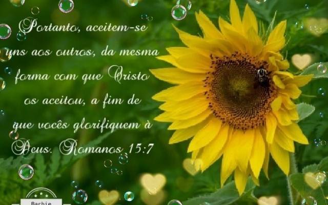 Aceitos pela graça Deus