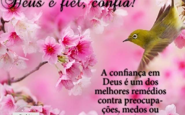 Confiança - Paz interior