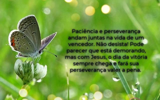 Perseverança - Seguindo os exemplos bíblicos