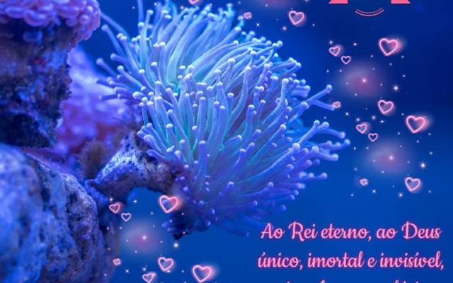 Deus é incomparável