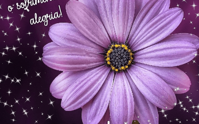 Sofrimento - A frustração dos relacionamentos