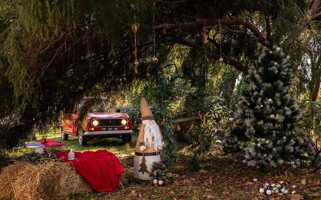 Começou a preparação para as Sessões de Natal