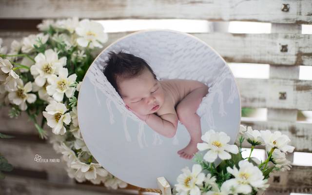 Dicas de Decoração ♥ Quadros de Madeira 