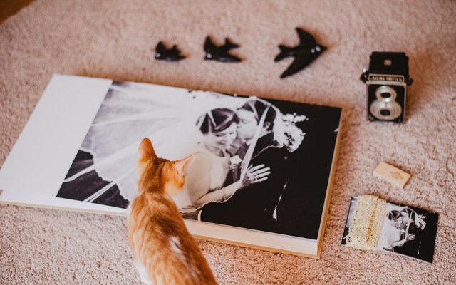 Memórias bonitas são memórias impressas! Porque é importante fazer álbuns fotográficos