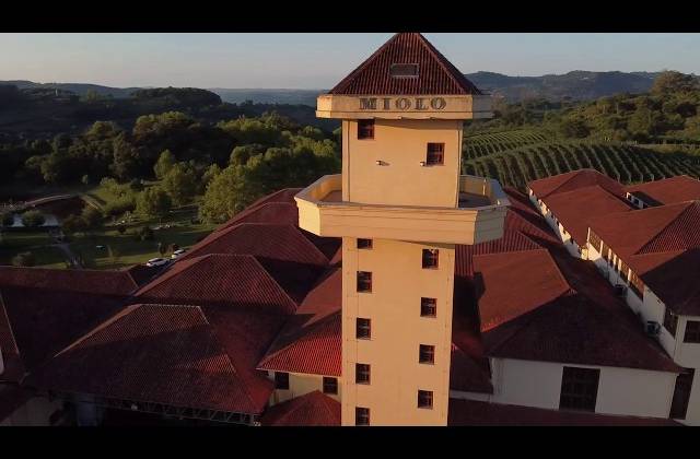 Vídeos de Vinícola Miolo / Wine Garden