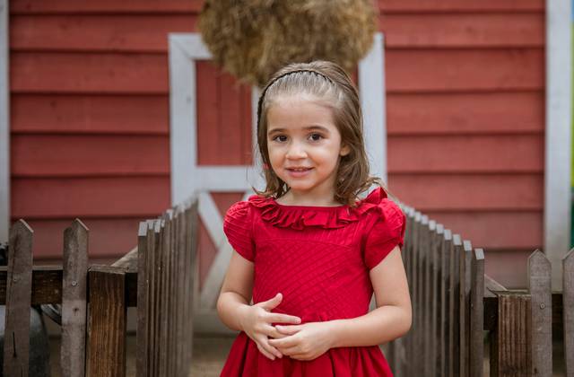 Aniversário Infantil de Livia - 4 anos | Aniversário