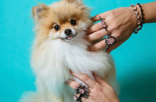 Corporativo de Jéssica Puziol para Casa Cor