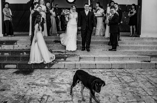 CASAMENTOS de FRAN E NETO - CASAMENTO