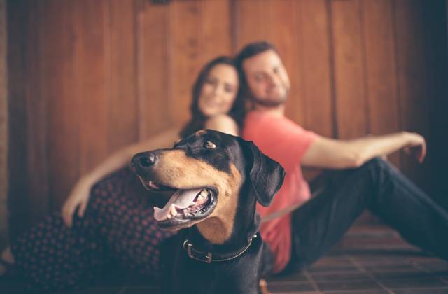 Ensaio de Milena & Daniel