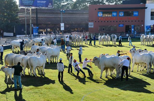 Ensaio corporativo  de Expozebu -ABCZ