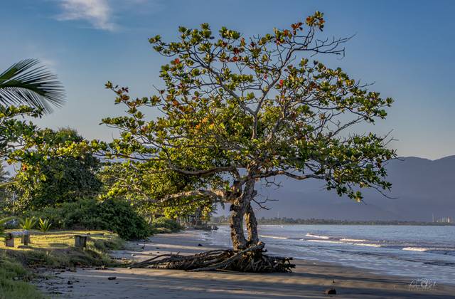 Litoral Norte de São Paulo de Paisagens do Litoral Norte 