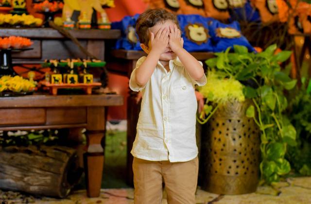 Aniversário Infantil de Léo | 1 Aninho