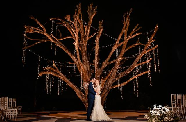 Casamentos de Barbara + Vitor