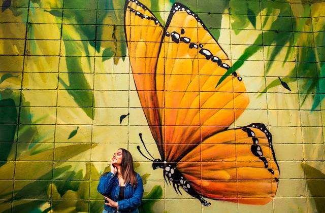 Debutante de Stephanie - 15 Anos