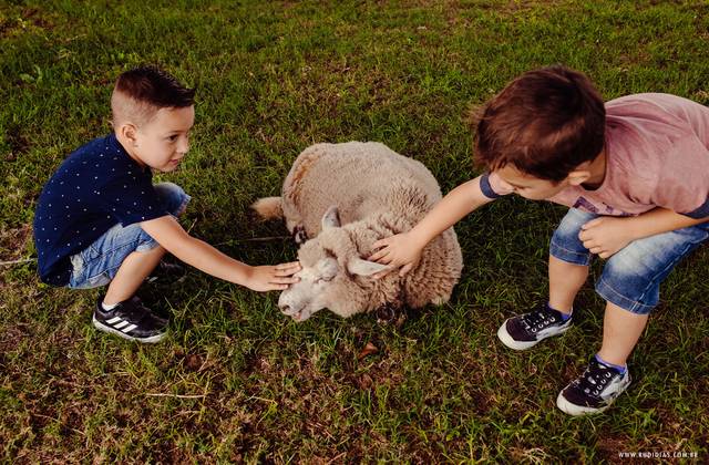 Familia de Festa Cinco Aninhos |  Yuri