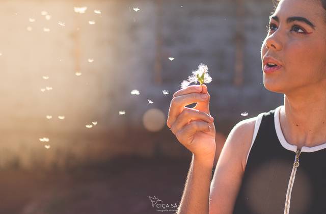 Ensaios de Fernanda Salviano