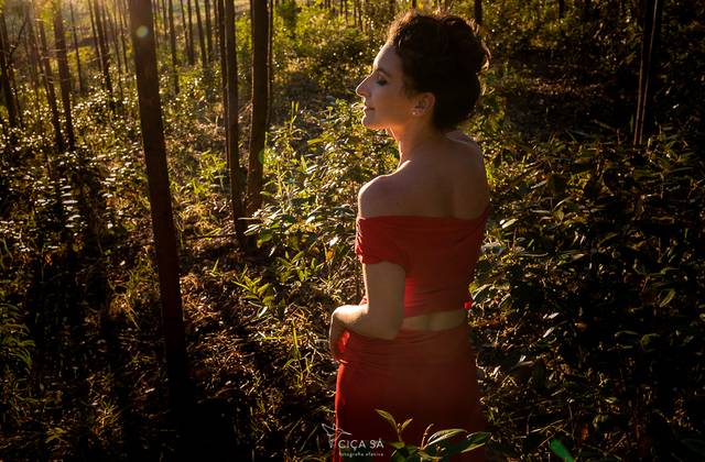 Ensaios de Meus 40 anos - Revelando a Loba que sempre fui