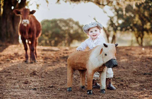 Ensaio Infantil de Fazendinha da Titine
