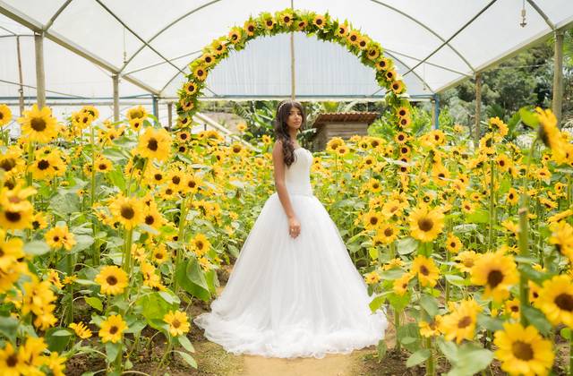 Ensaios 15 Anos de Sophia Camara