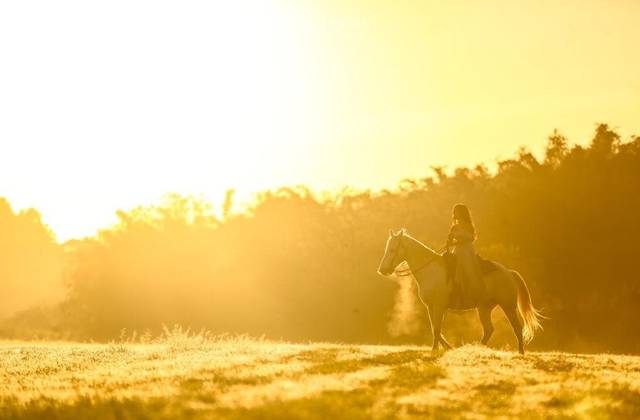 Ensaios 15 Anos de Heloisa - Ensaio Holambra