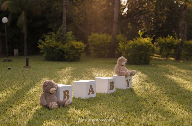 Chá-revelação de Chá Revelação em Lins-SP  | Chácara dos Netos em Lins-SP