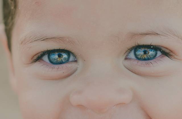 Família de Família Viana