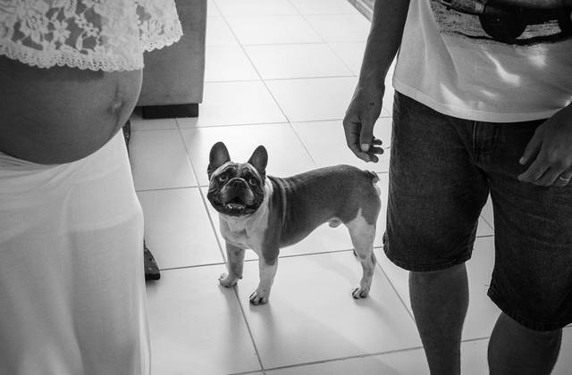 Gestante de Bela + Marcel = Marvin