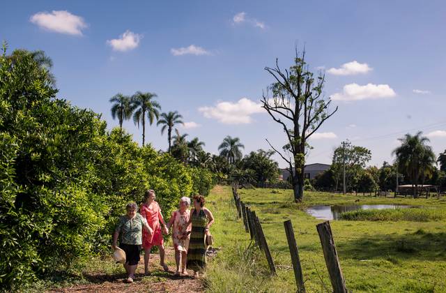 Ensaio de Ensaio externo das amigas