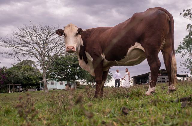 Ensaio de Ensaio Pré Casamento da Juliana e do Marcelo