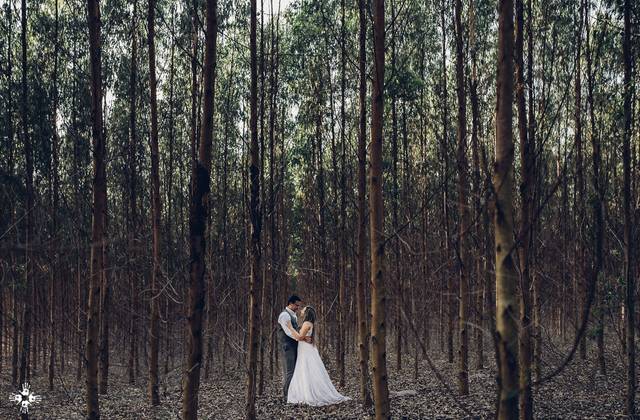 Trash The Dress de Débora + Romário