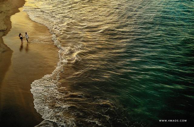 Ensaios de Merian e Eduardo