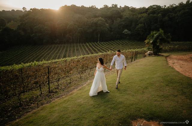 Pré-casamento de Sessão de fotos na Vinícola - Aline e Lucas