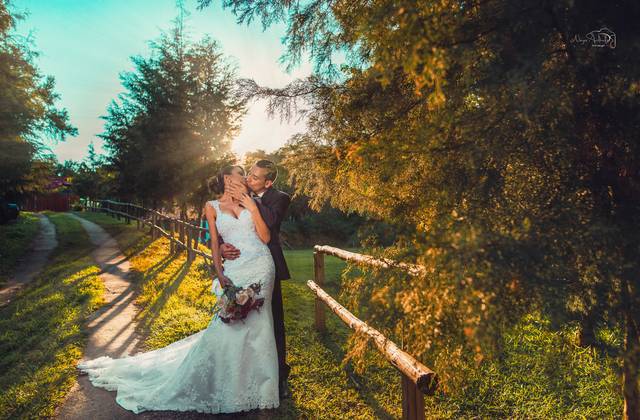 Casamentos de Paulo e Vivi