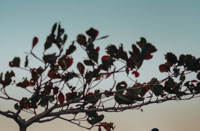 Pre-Wedding de Ensaio casal japones s2 -  Nay e Fabio