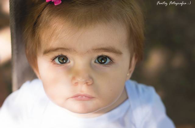 Infantil de Pré Aniversário | Sophia | Um Ano