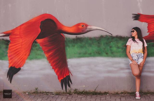 15 anos de Sessão 15 anos - Andressa