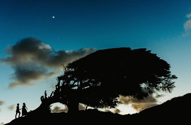 Vídeos Curtos de Save the date Bruna e Robson