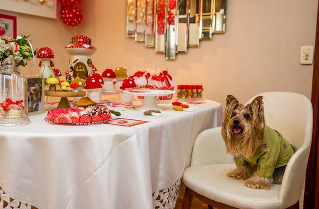 Pet de Aniversário de Pet