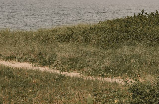 Ensaio Casal de Livia & João | Pre Wedding