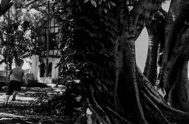 Família de Daniel | 7 anos | Sessão Fotográfica