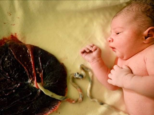 Hora do nascimento de Chegada de Luiza