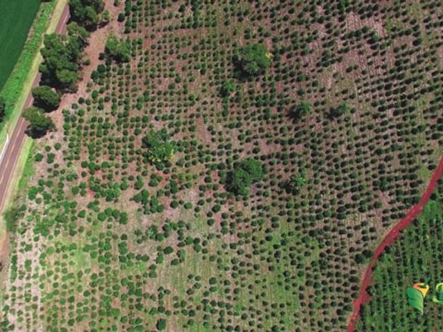 FILM | INSTITUCIONAL de TERERÉ 2000