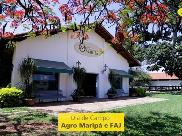 Filmes de Produtora de Vídeo SP - Agro Maripá - Dia de Campo