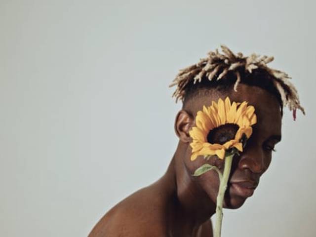 The Brothers de Sunflower Melancholy