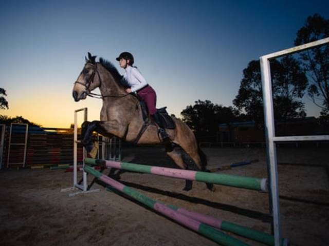 15 Anos de Ensaio de 15 anos Isabela