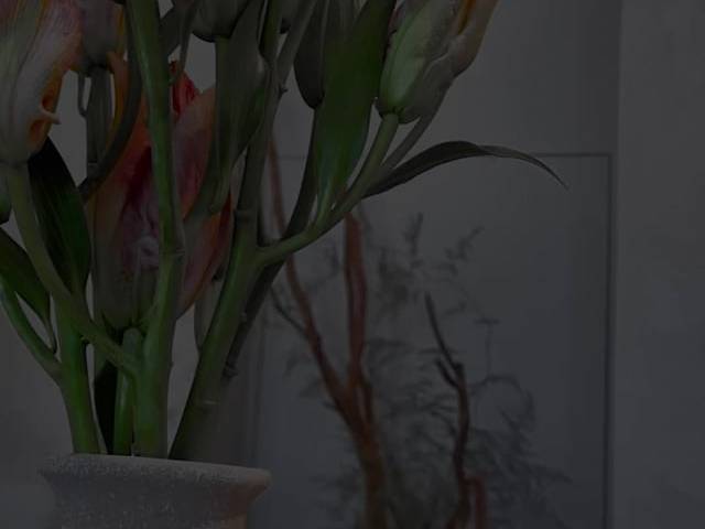 Comercial de le dalie  - por Arq. Angelica Southier